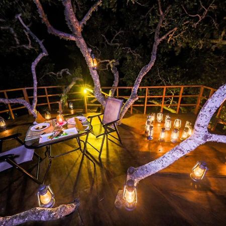 Tribe Yala - Luxury Camping エクステリア 写真