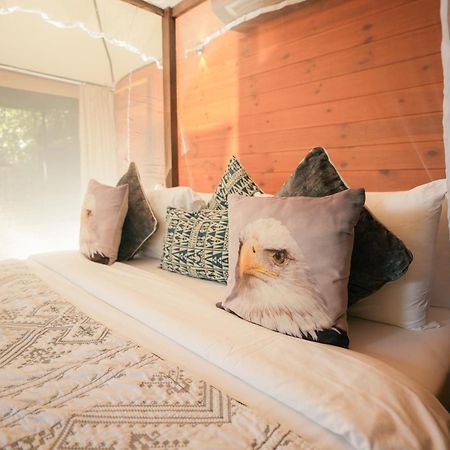 Tribe Yala - Luxury Camping エクステリア 写真