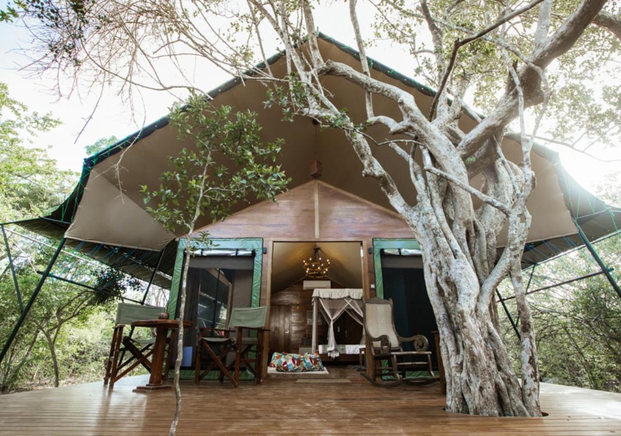 Tribe Yala - Luxury Camping エクステリア 写真
