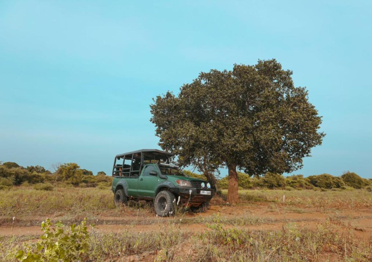 Tribe Yala - Luxury Camping エクステリア 写真