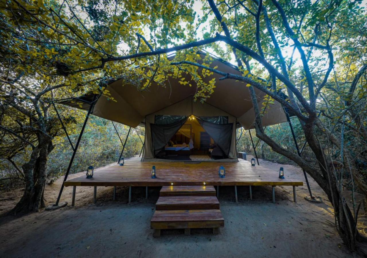 Tribe Yala - Luxury Camping エクステリア 写真